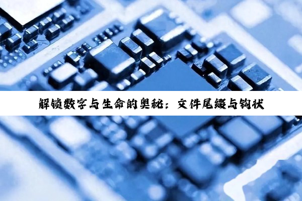 解锁数字与生命的奥秘：文件尾缀与钩状尾椎的深度探索